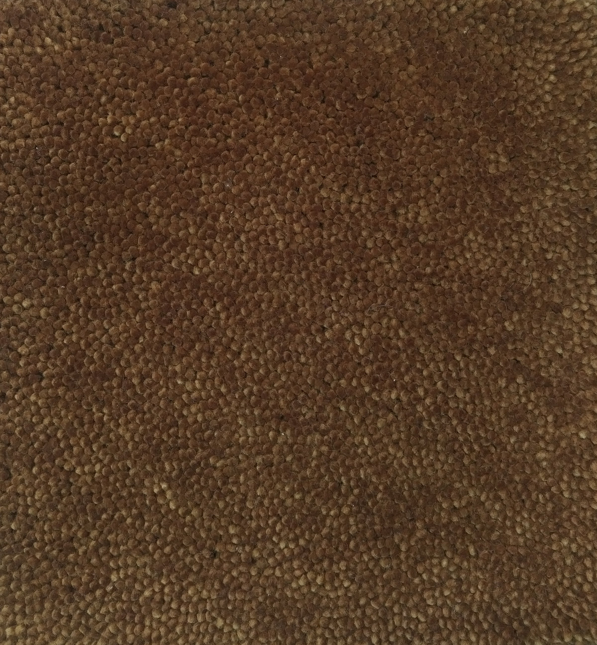 Napoleon Cut - Dark Bronze 200x300cm | In Stock