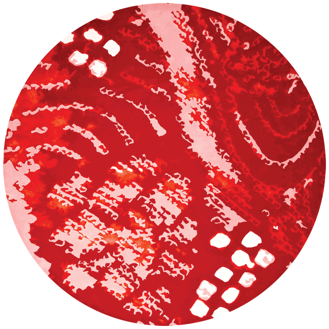 Shibori Round