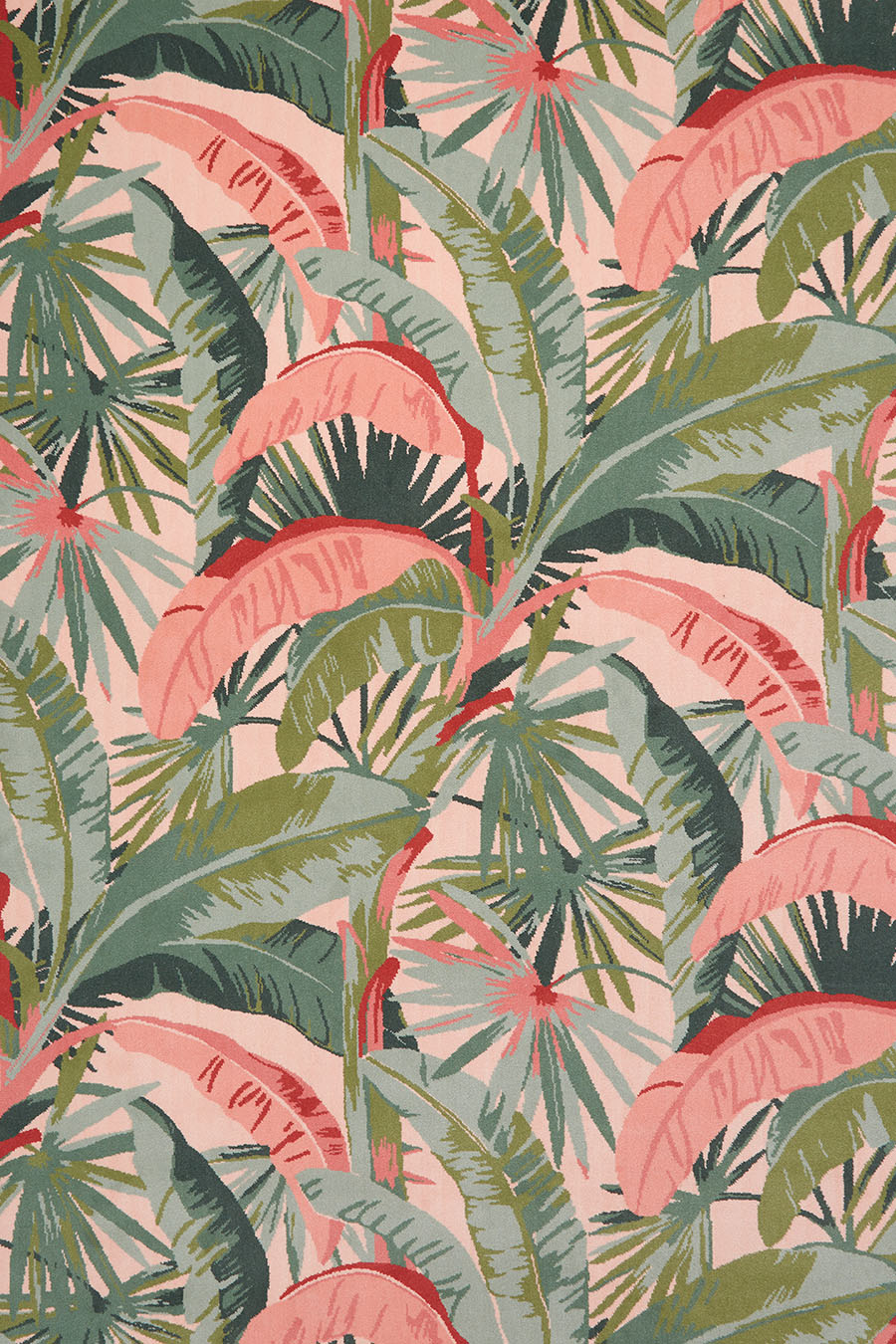La Palma | Coral