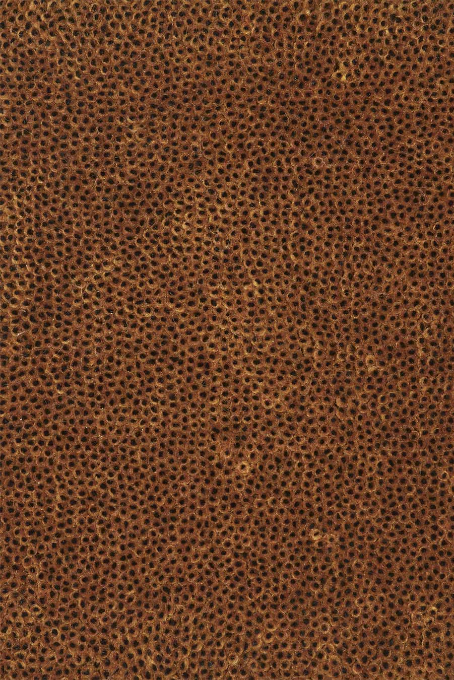 Coral Cut Dark Bronze Black Core