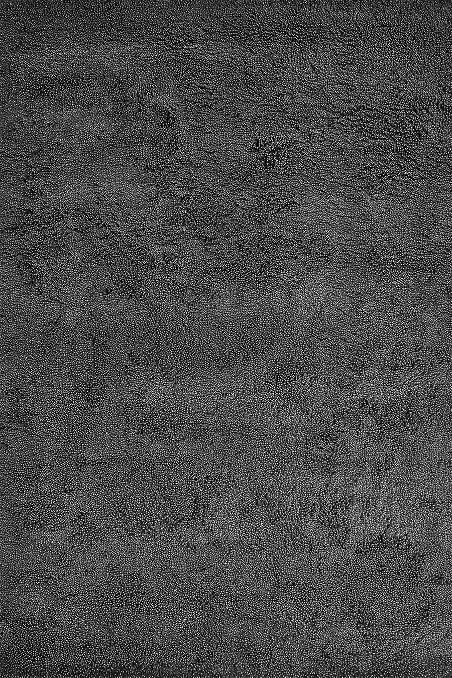 Coral Shag Indigo White Core