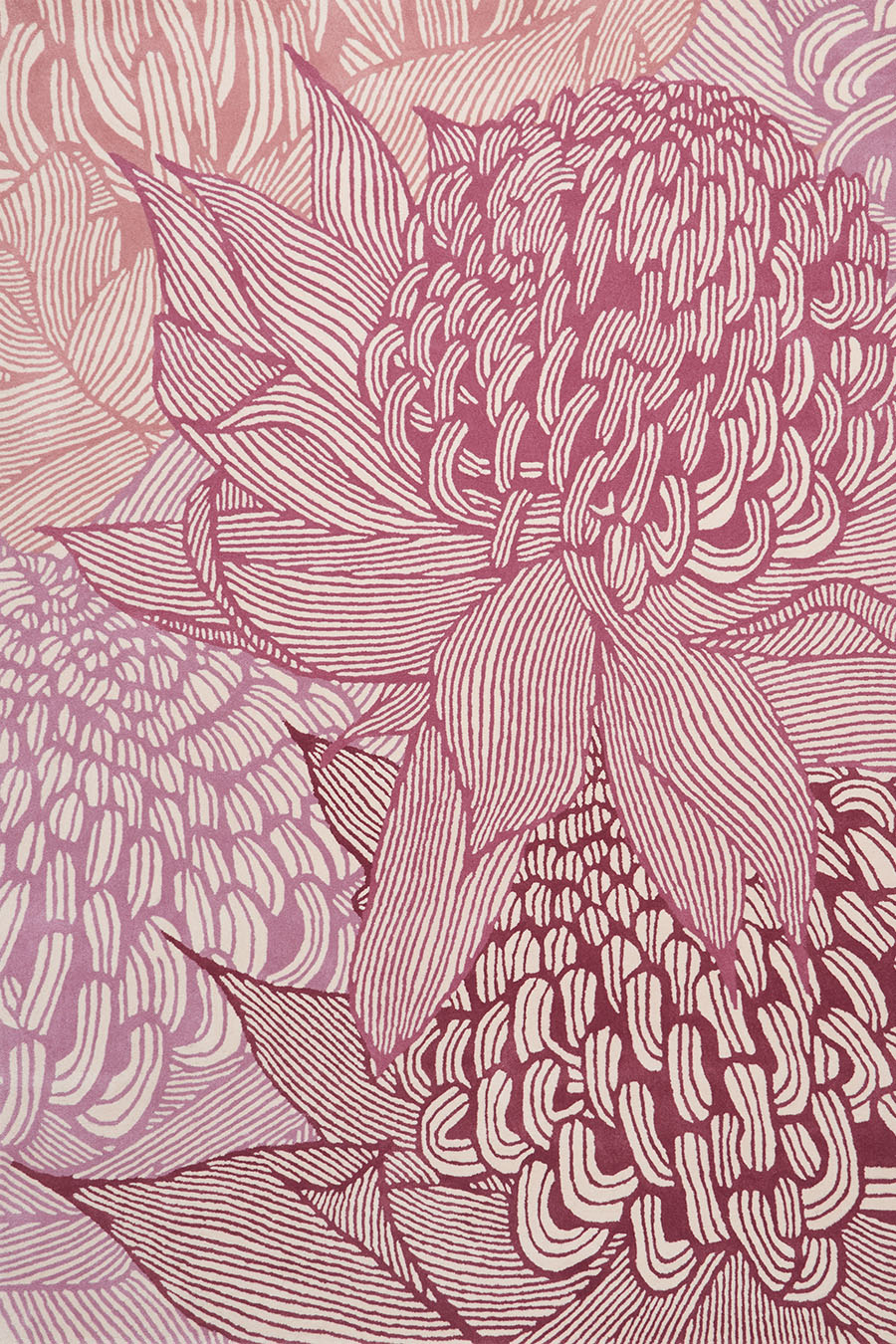 Telopea Bloom