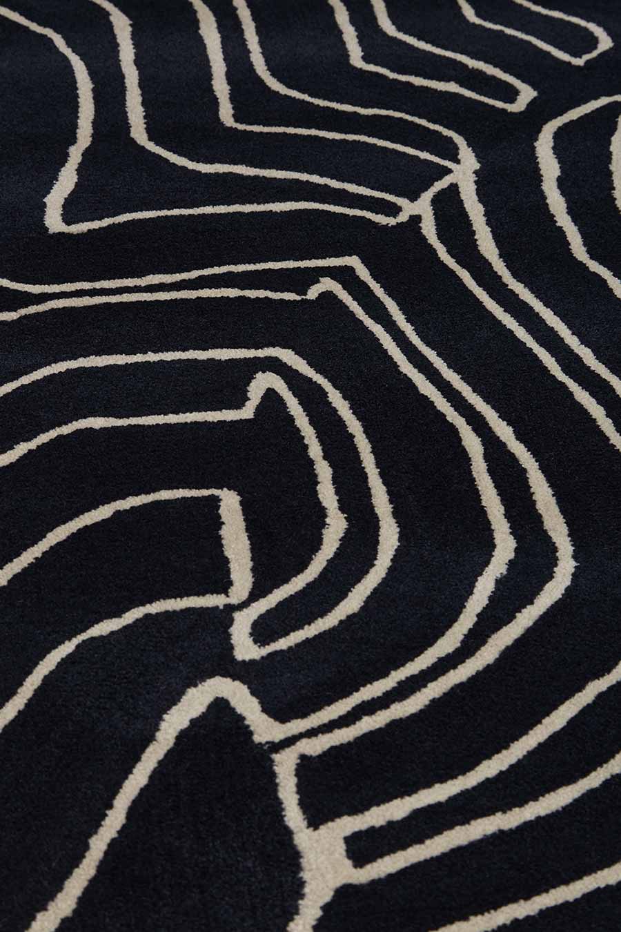 Nautilus