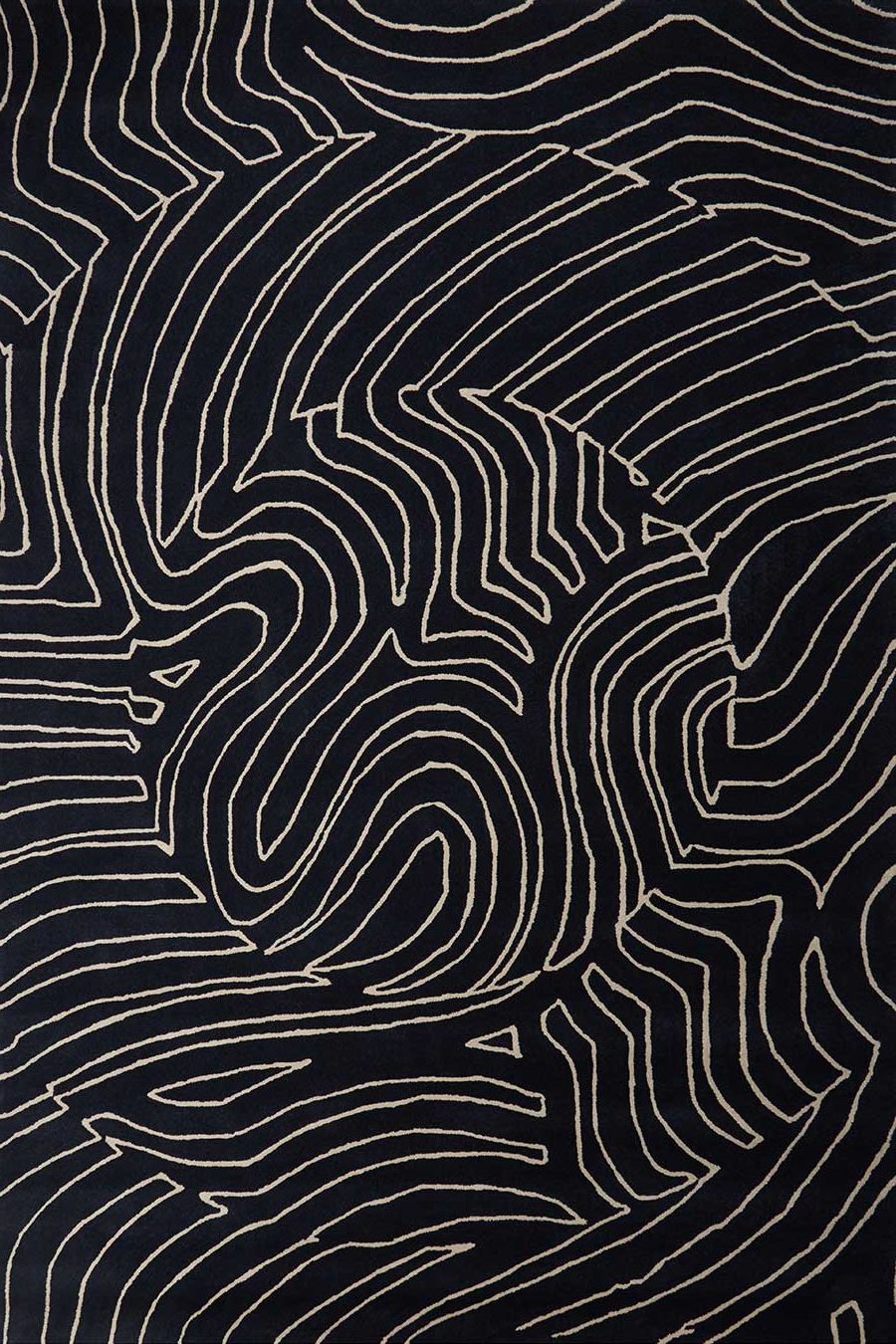 Nautilus