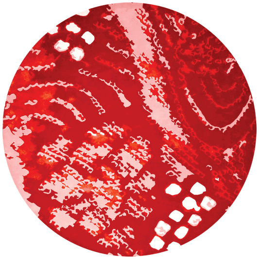 Shibori Round