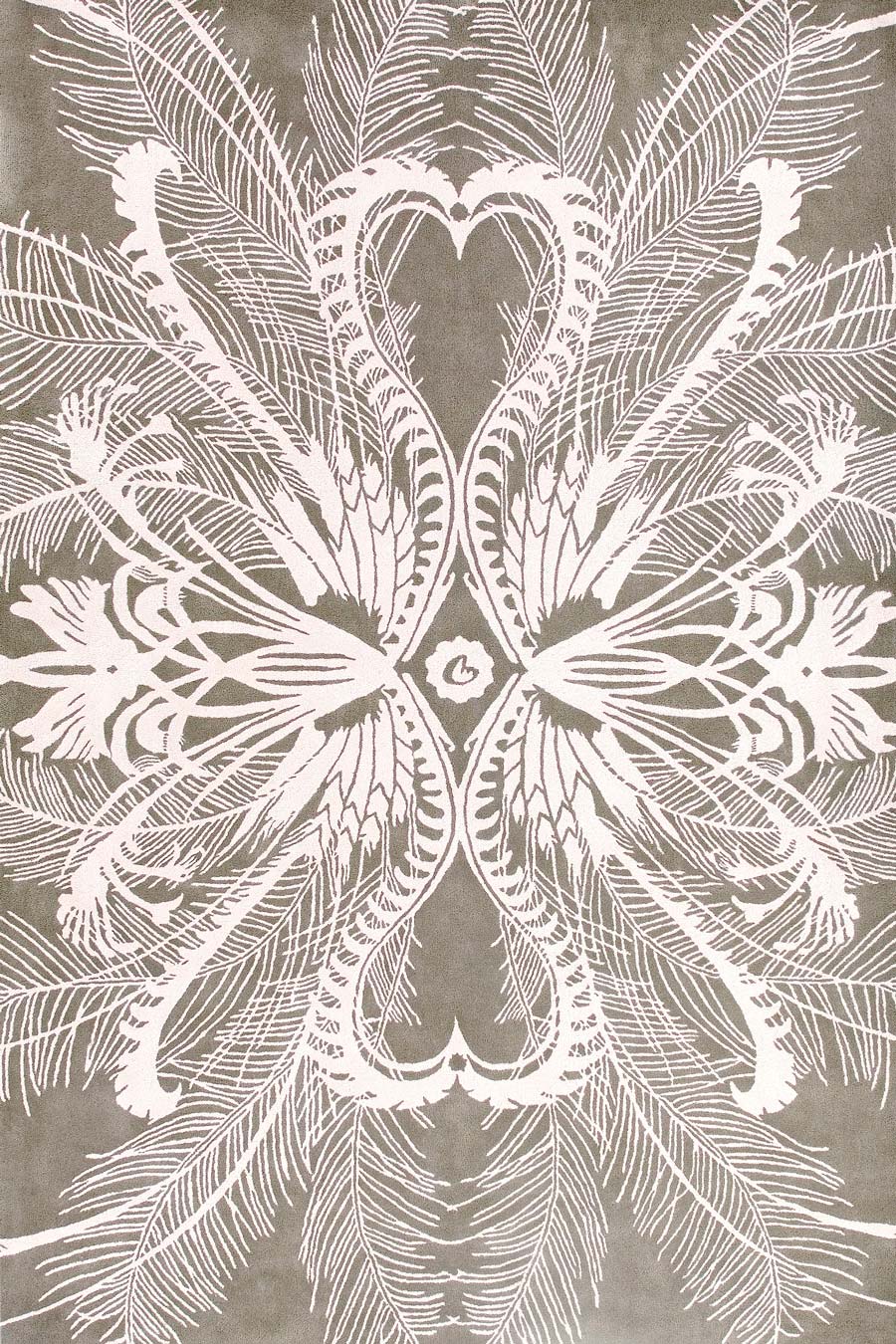 Feathers