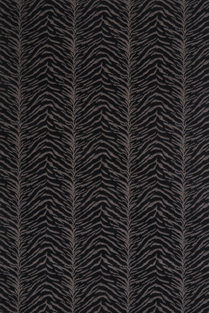 Tigre | Midnight