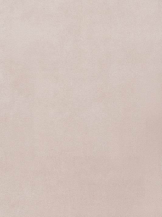 Napoleon Cut - Oyster  | In Stock